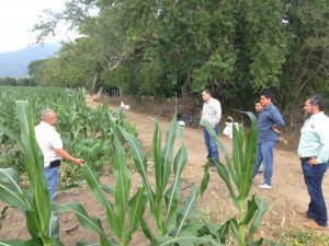 Apertura de los productores