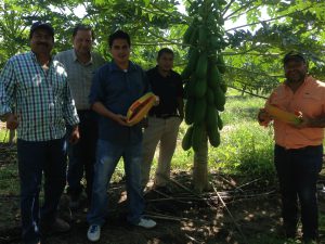 Conociendo nuevos materiales